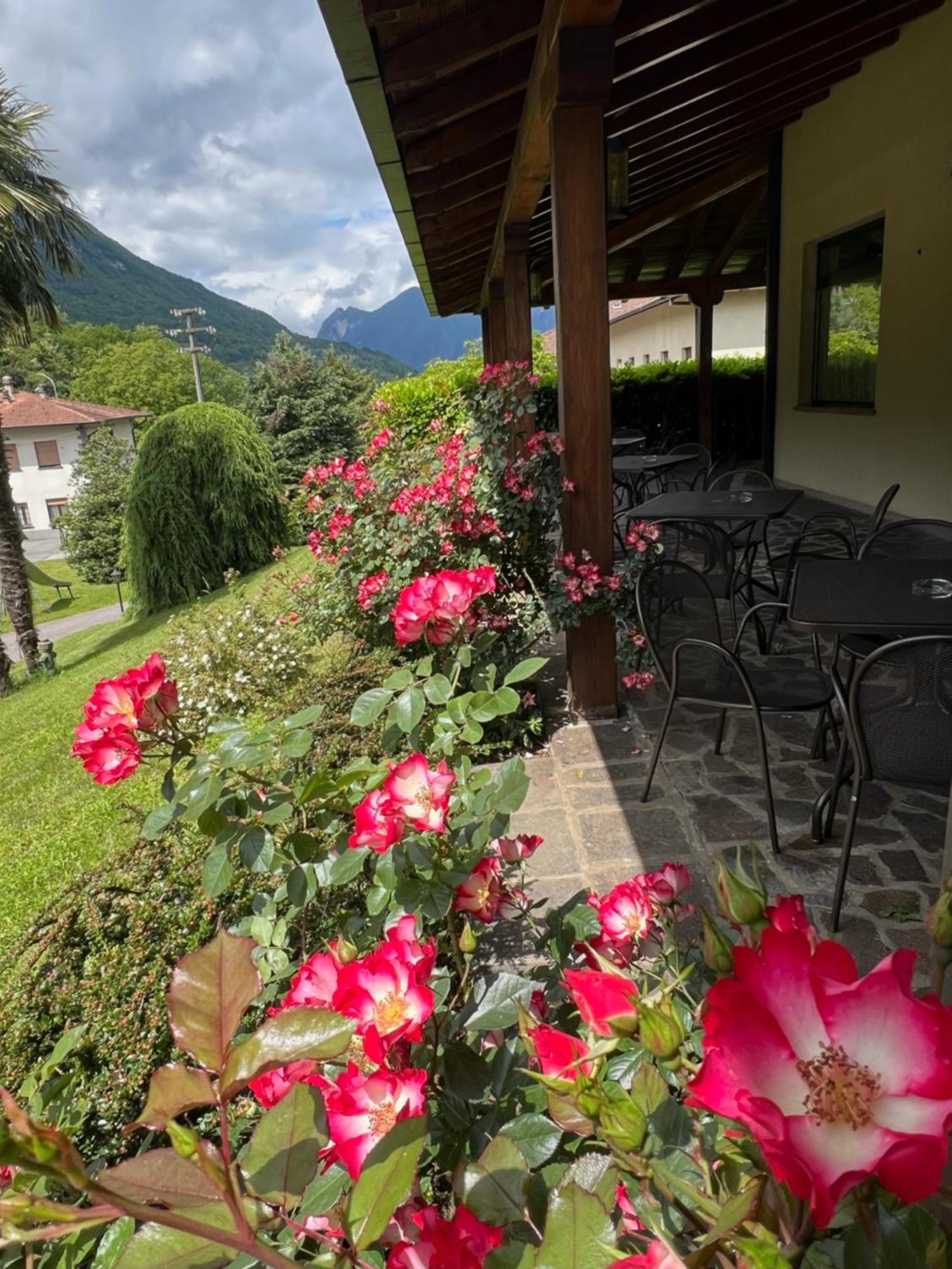 Hotel Merloni 3*