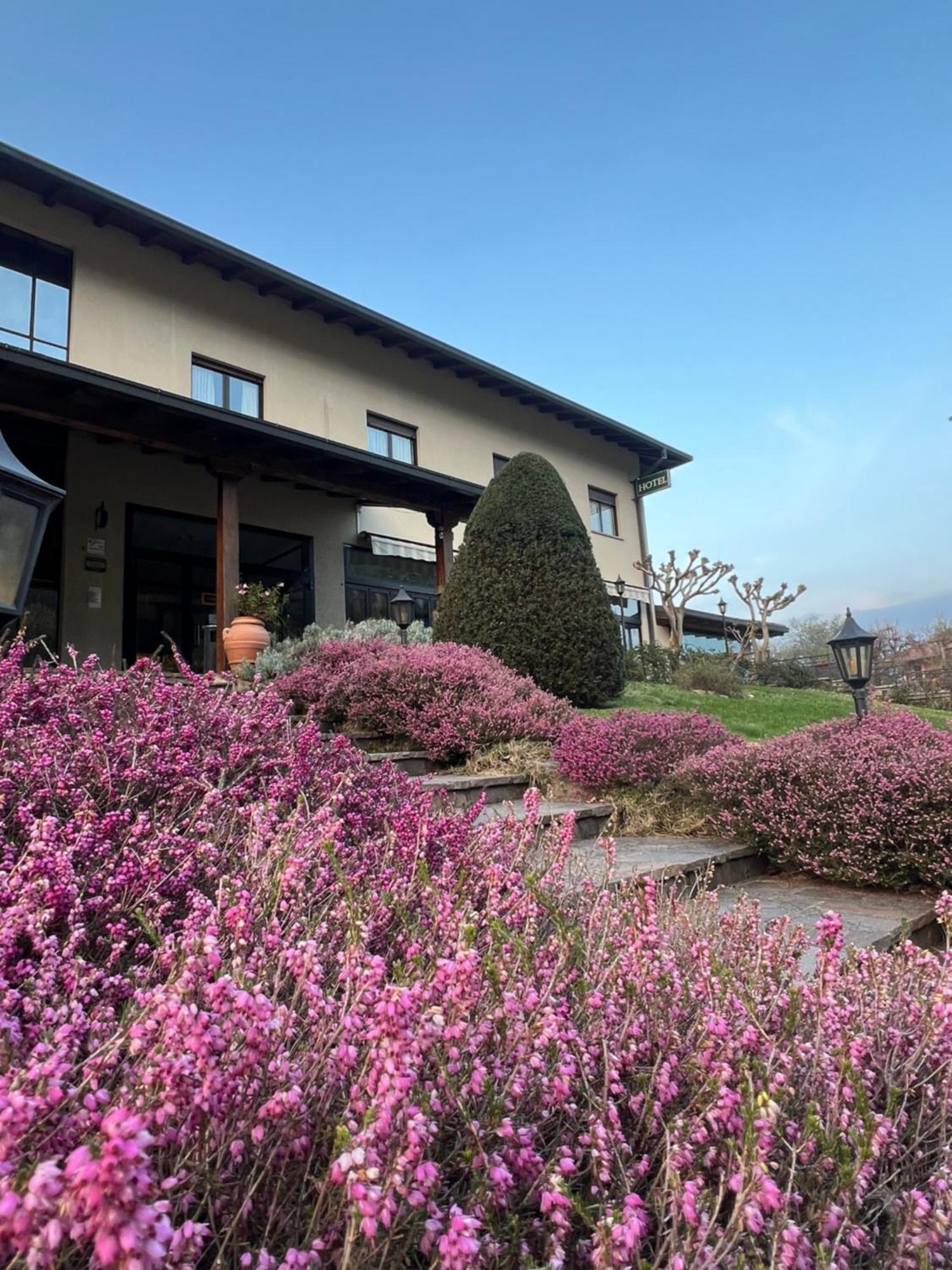 Merloni Hotel 3*